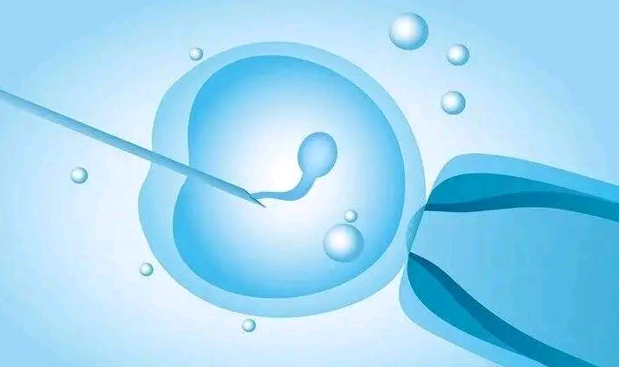 供卵助孕步骤[广州传承生殖医学试管费用],美国试管婴儿促排卵技术中的不同方