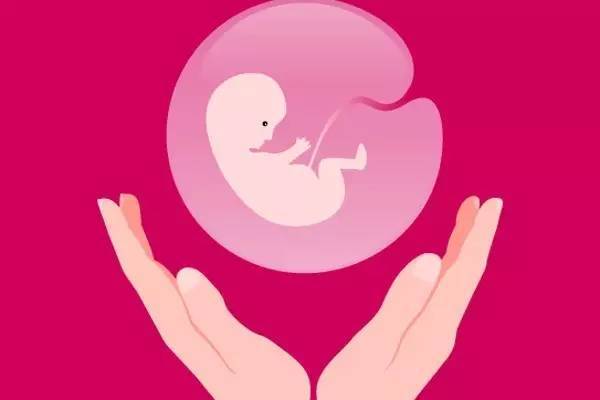 传承国际助孕中心_世纪助孕公司_天津试管婴儿告诉你试管婴儿宝宝是怎么来的